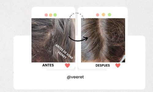 1.jpg__PID:dd8f2b87-c6c0-4a71-b212-30a62dcd318e